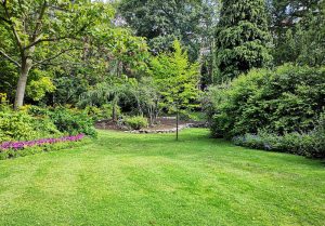Optimiser l'expérience du jardin à Conde-sur-Ifs